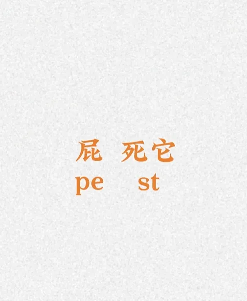 一秒记住一个单词