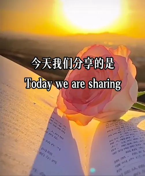 【九月读书】竖版书单